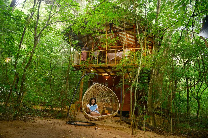 2 Nights in a Tree House in Sigiriya-with nature based activities - Photo 1 of 12